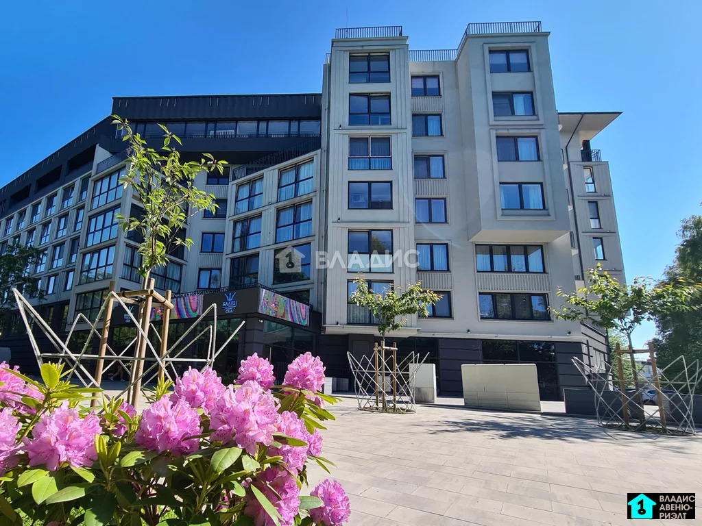 Купить Студию В Калининграде