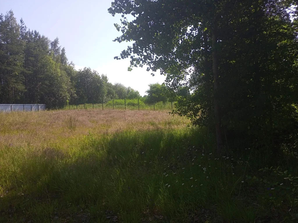 Продается земельный участок 23 сот. - Фото 20