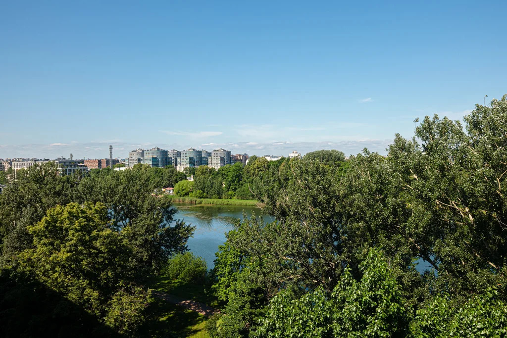 Продажа квартиры в новостройке, м. Спортивная, ул. Ремесленная - Фото 21