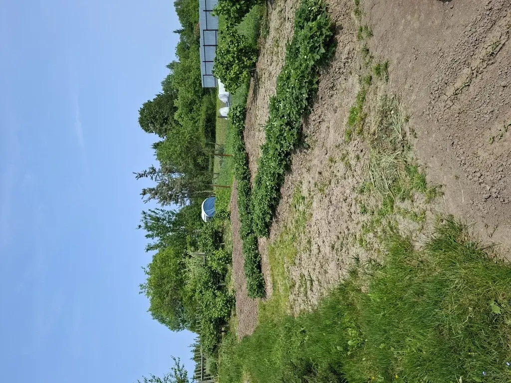 Продается дом на уч. в дерене Щелканово - Фото 17
