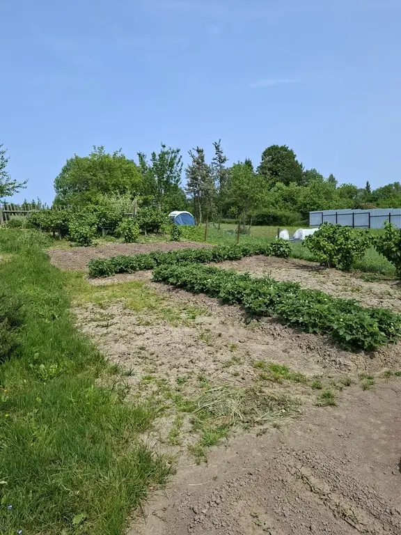 Продается дом на уч. в дерене Щелканово - Фото 18