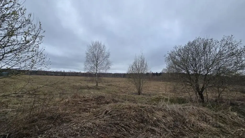 Продажа участка 19.72 га Московская область, Истра муниципальный ... - Фото 7