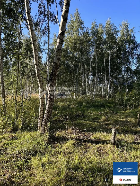 Продажа участка, Дубровичи, Рязанский район - Фото 8