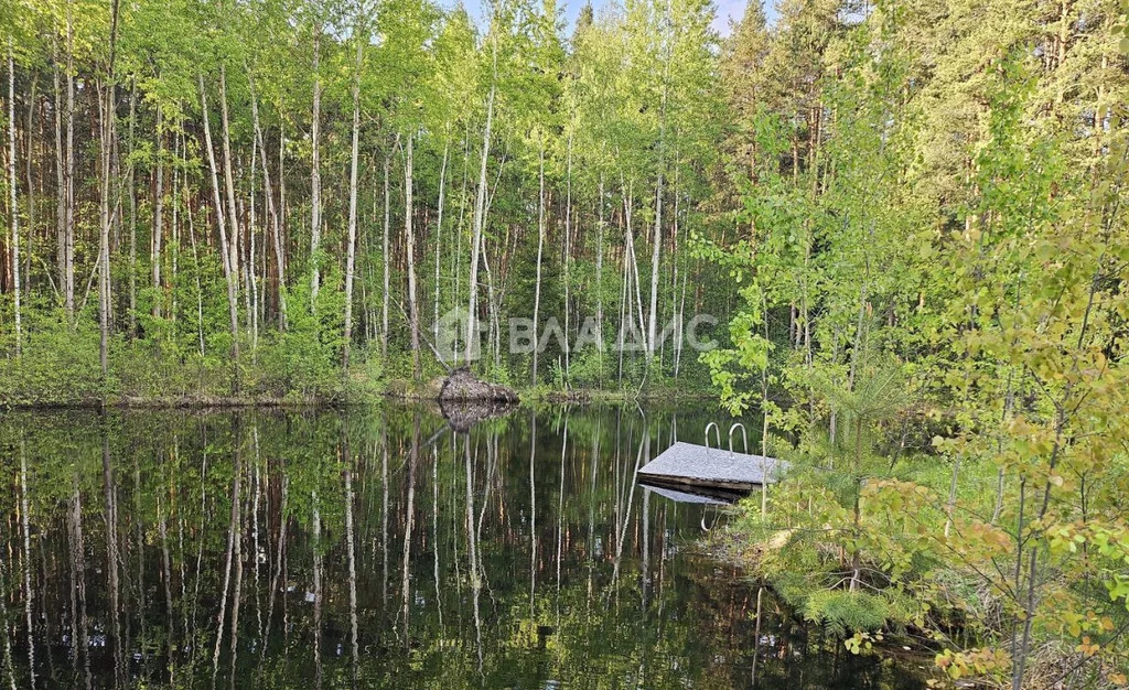 Раменский городской округ, село Зюзино, квартал 10175, Княжеская ... - Фото 2