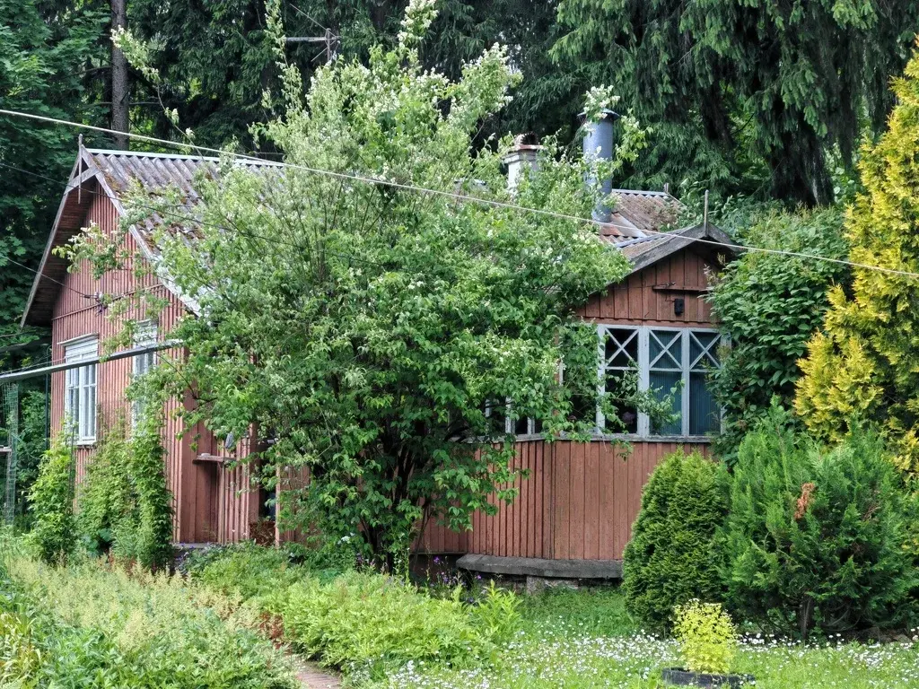 Продам дом в Лобне - Фото 16