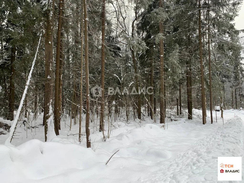 Продажа участка, Сазонки, Дмитровский район - Фото 1