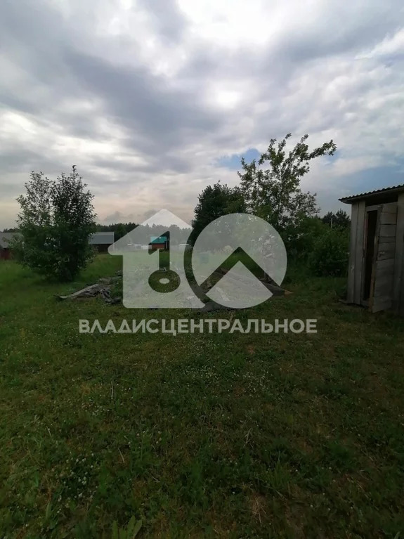 Новосибирский район, садоводческое некоммерческое товарищество Ольха,  ... - Фото 10