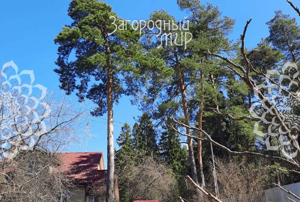 Продам участок, Щелковское шоссе, 24 км от МКАД - Фото 2