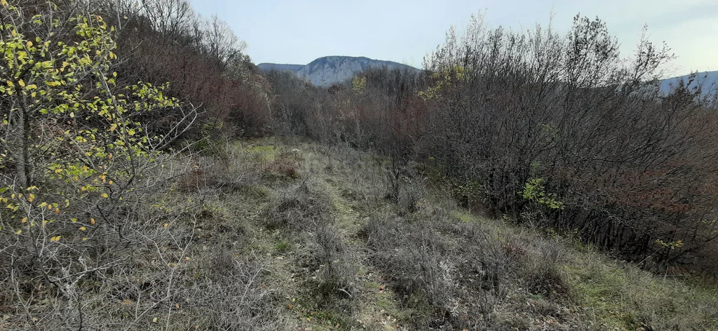 Продажа участка, Соколиное, Бахчисарайский район, ул. Ялтинская - Фото 2