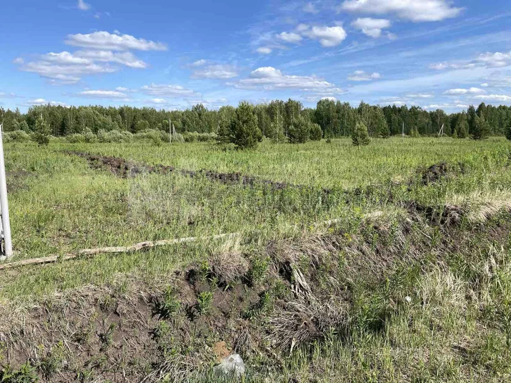 Купить Участок В Тюменской Области Недорого