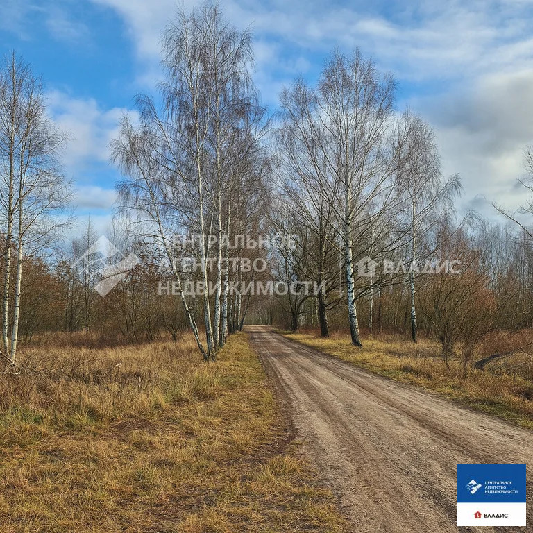 Продажа участка, Варские, Рязанский район - Фото 3