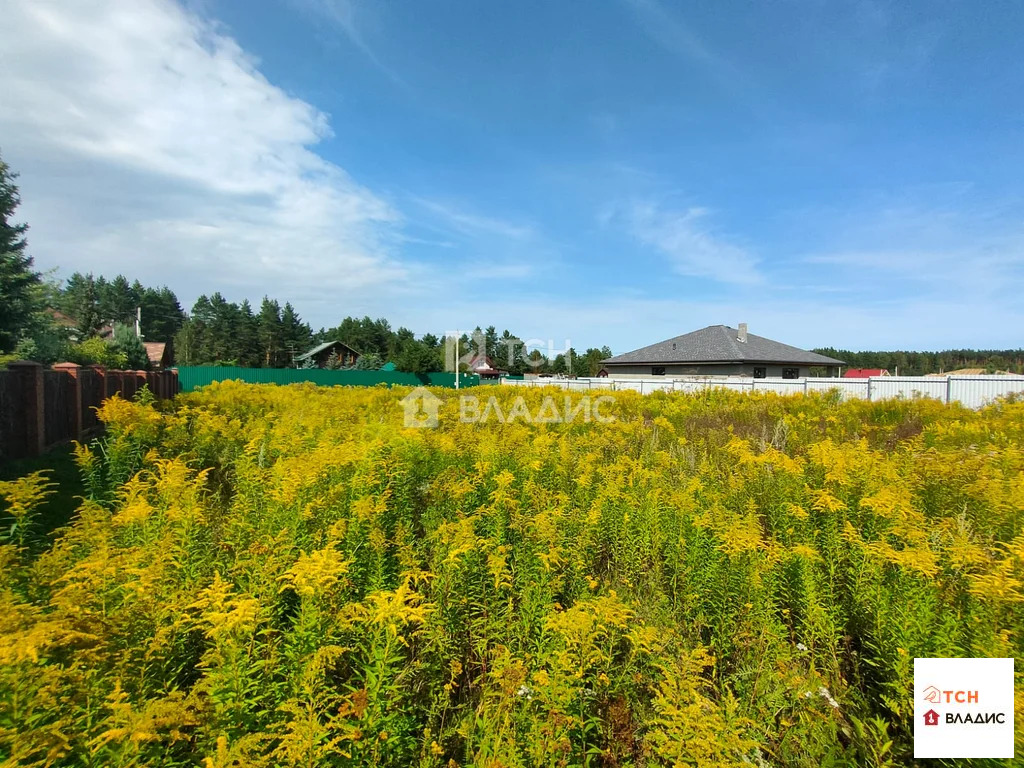 городской округ Щёлково, деревня Вторая Алексеевка, 1-я Радиальная ... - Фото 0