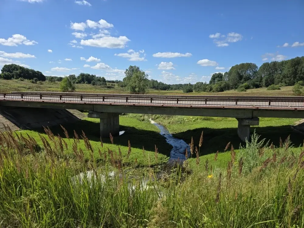 Продаю уч. 30 сот. с Семеновское - Фото 13