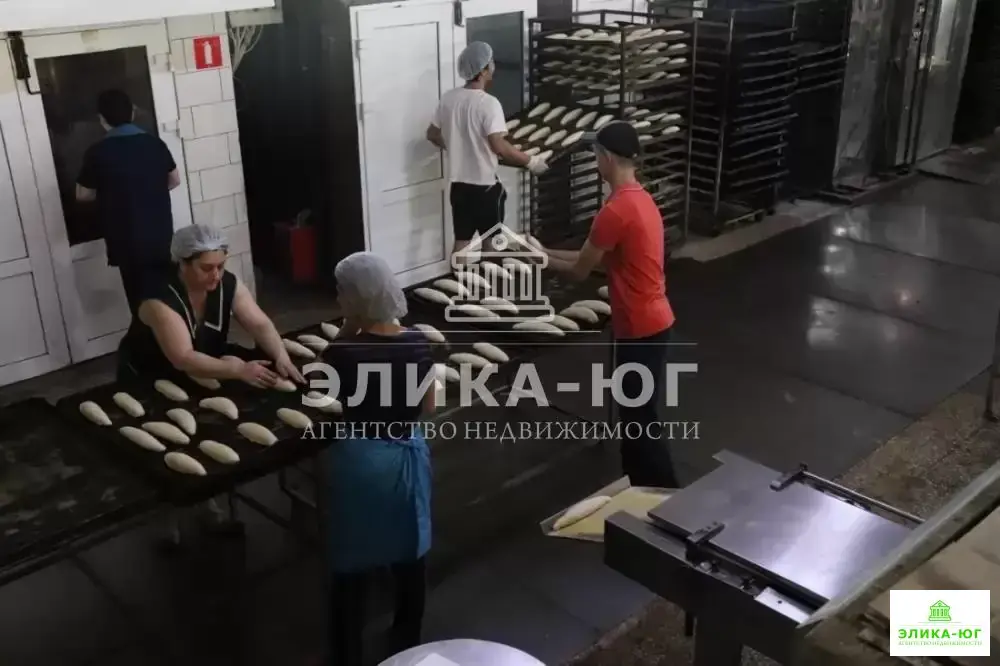 Продажа готового бизнеса, Джубга, Туапсинский район, ул. Колхозная - Фото 3
