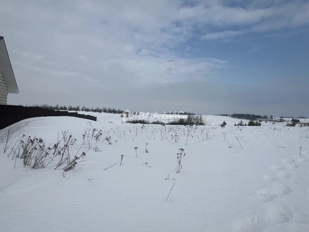 Суздальский район, село Павловское, земля на продажу - Фото 1