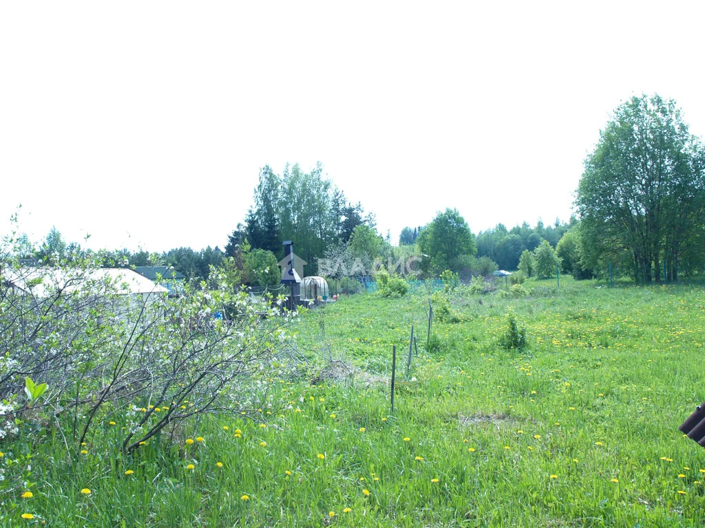 Волховский район, деревня Горка-Хваловская,  земля на продажу - Фото 11
