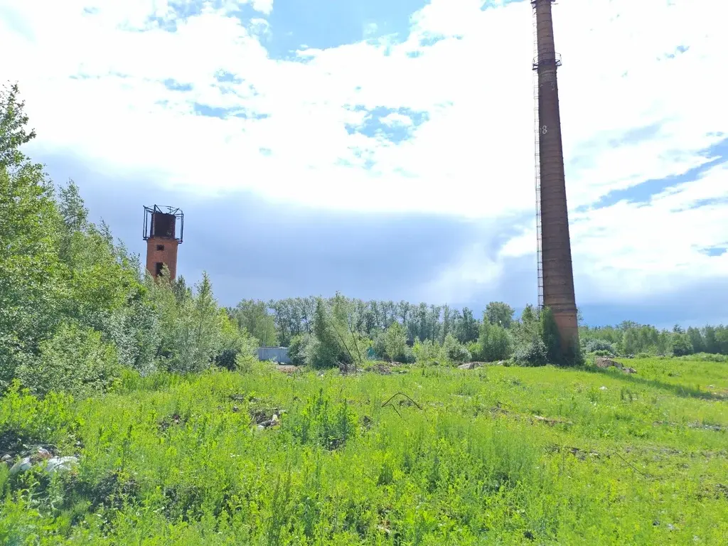 Продажа промышленной земли 3 ГА в Софрино - Фото 5