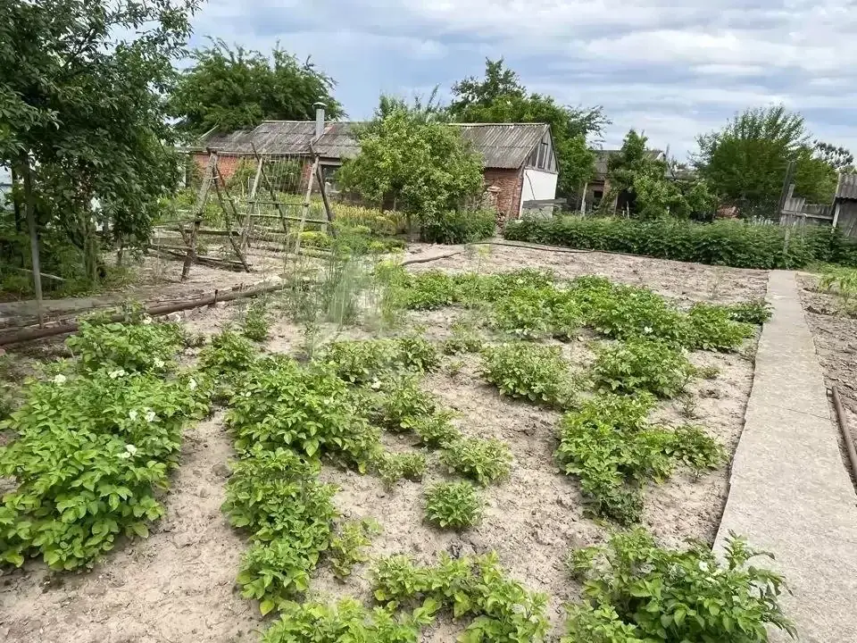 Продажа дома, Зеленокумск, Советский район, ул. Крайнева - Фото 13