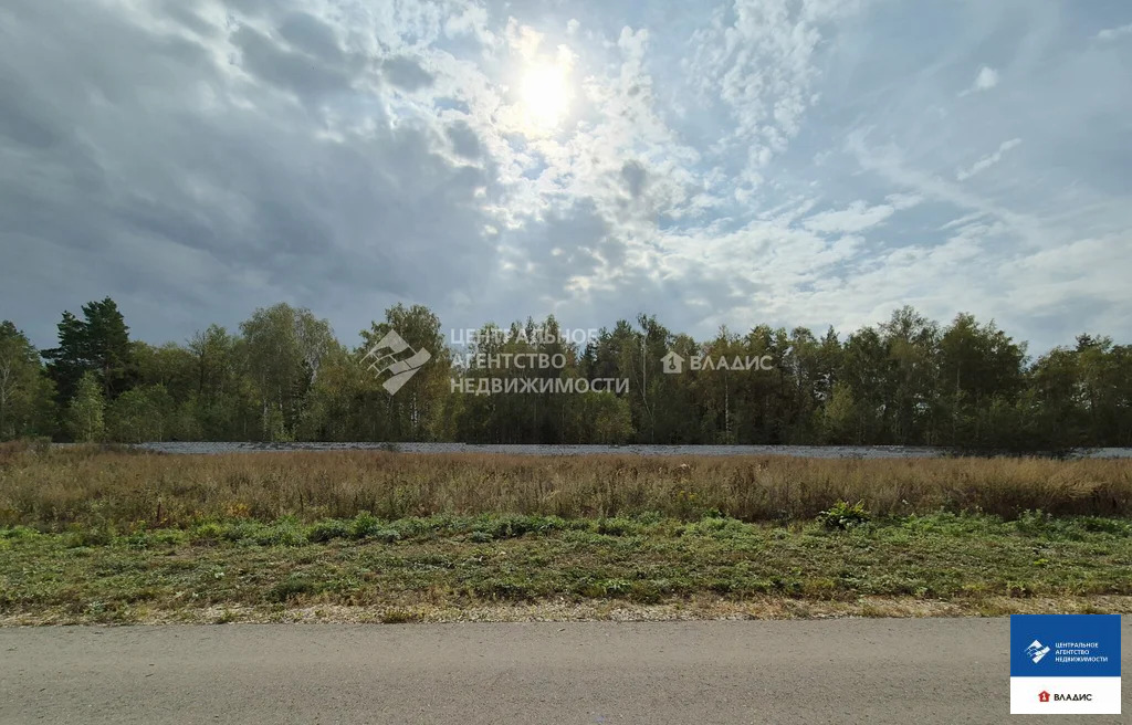 Продажа участка, Варские, Рязанский район, Благовещенская улица - Фото 7