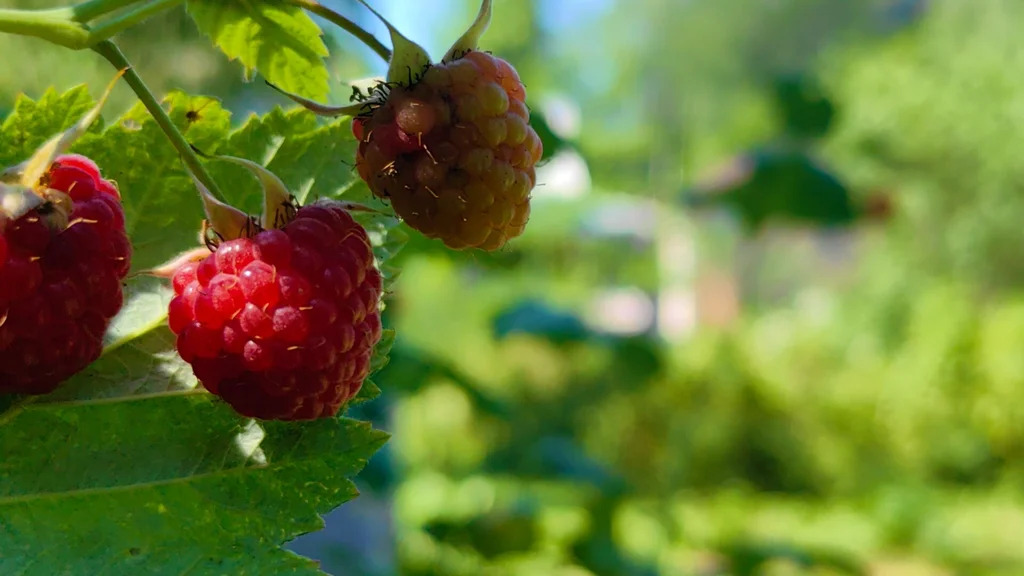 Продажа участка, Апрелевка, Наро-Фоминский район, ул. Кутузова - Фото 26