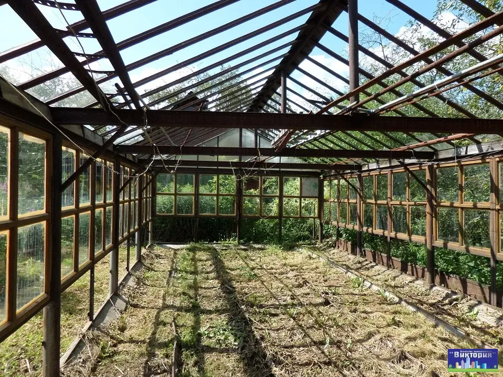 Продажа - дача в Ногинске, СНТ "Дружба", п. Рузино-Бабенки - Фото 24