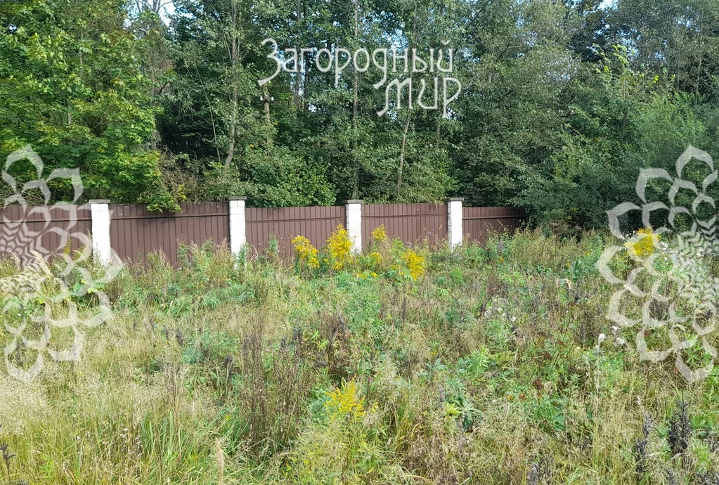 Продам участок, Ярославское шоссе, 38 км от МКАД - Фото 2