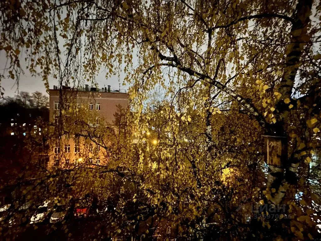 Продаю двухкомнатную квартиру 48.4м ул. Маршала Рыбалко, 16К2, Москва, ... - Фото 10