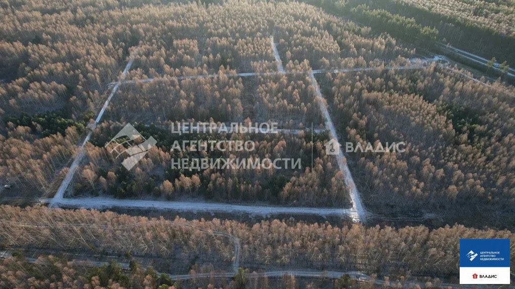 Продажа участка, Ярустово, Спасский район, ул. Лесная - Фото 21