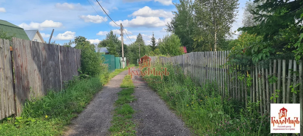 Деревня жучки Московская область.