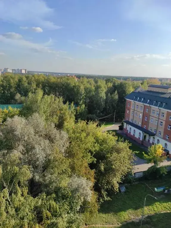 Трехкомнатная квартира в Дедовске. - Фото 3