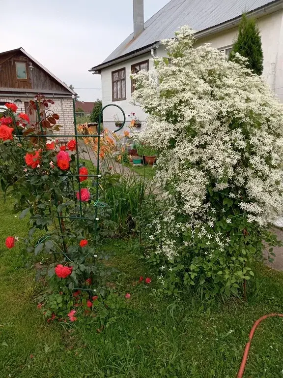 Продам дом - Фото 17