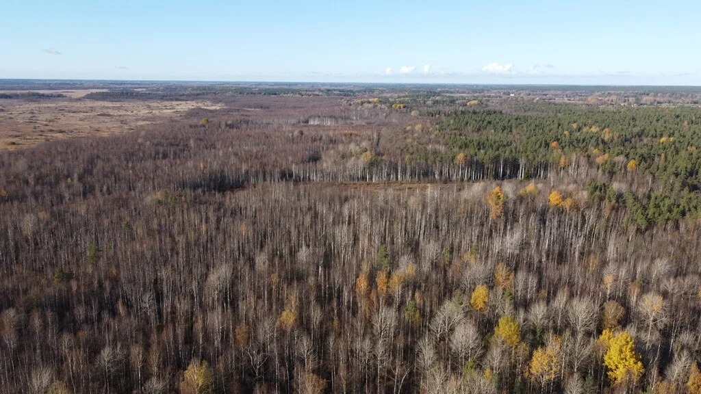 Продажа участка, Барышево, Выборгский район - Фото 11