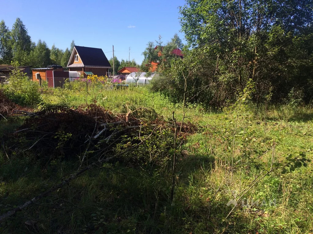 Купить Участок В Куровское Орехово Зуевский Район