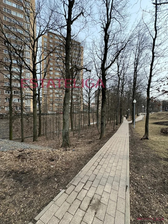Продажа квартиры, Коммунарка, Сосенское с. п., Бачуринская улица - Фото 45