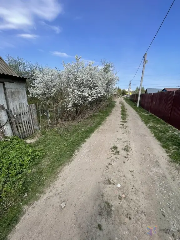 Продаю дачу с. Березнецово - Фото 17