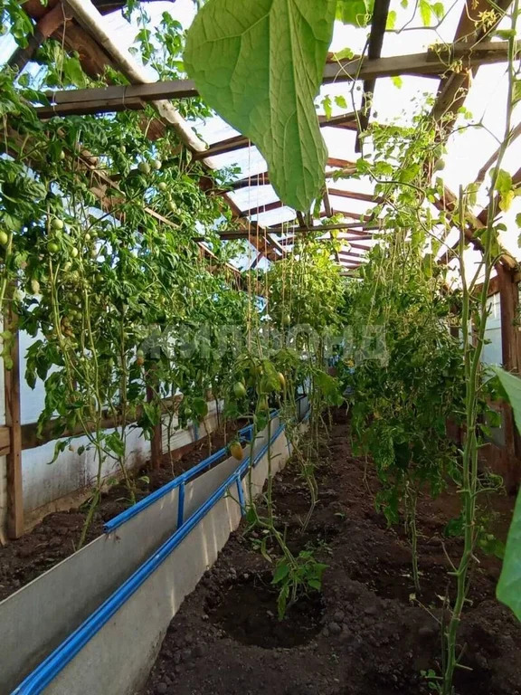Продажа дома, Новосибирск - Фото 10