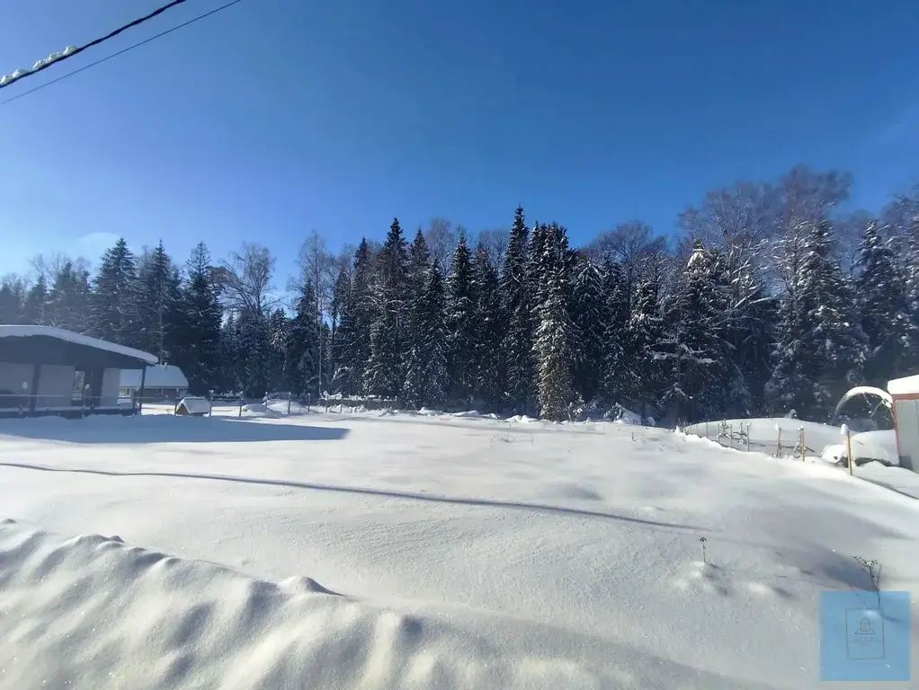 12 соток в Шапкино, СНТ Звездочка - Фото 2