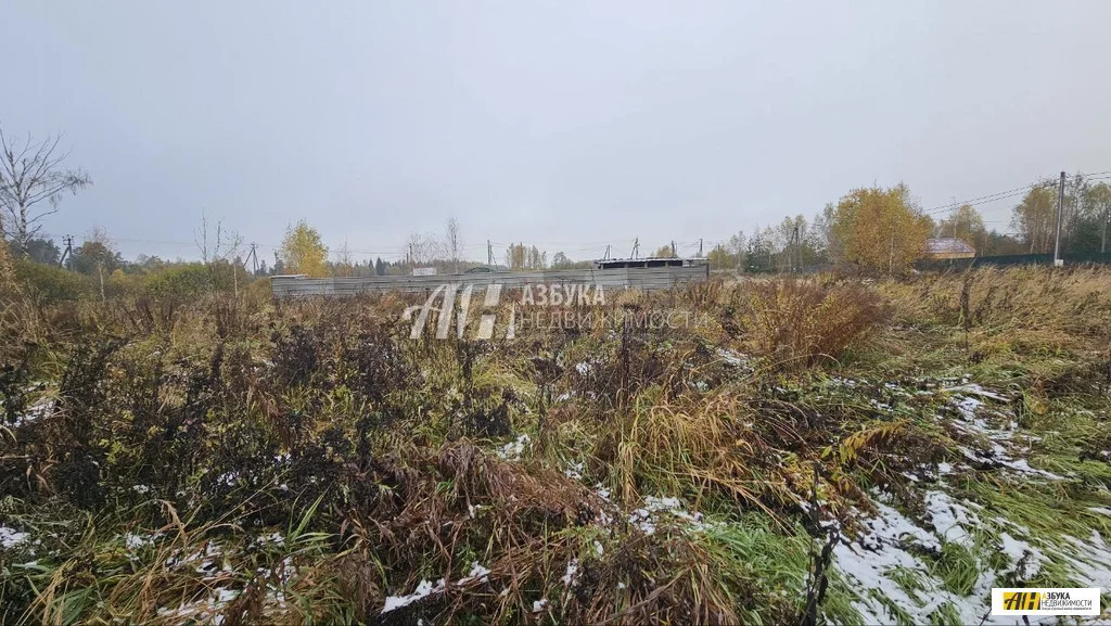 Продажа участка, Ямкино, Богородский г. о. - Фото 3