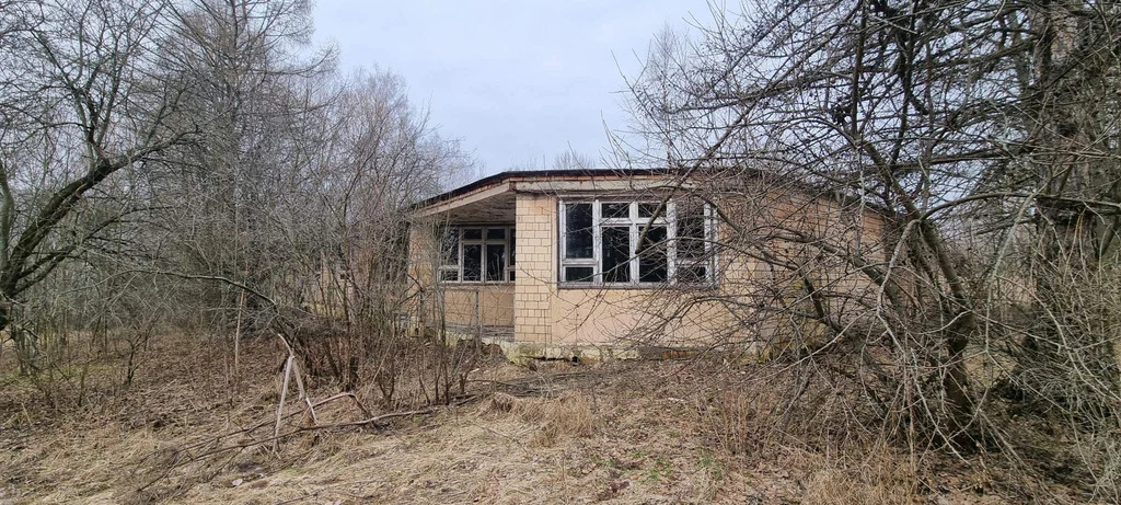 База отдыха "Лесные дали" - Фото 18