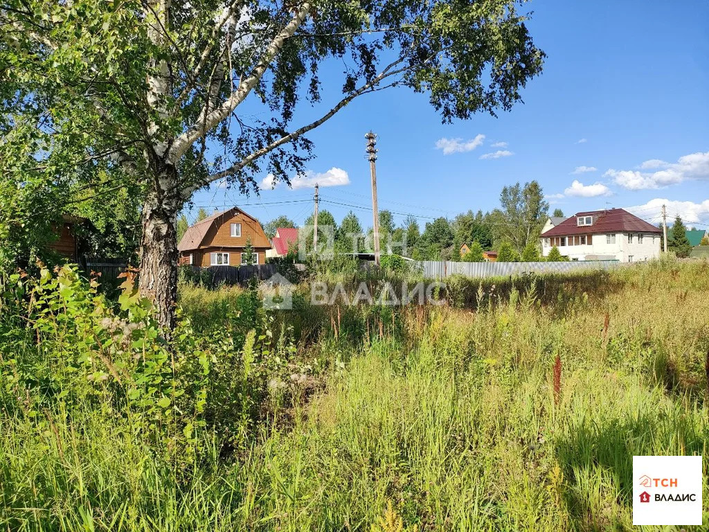 городской округ Щёлково, СНТ Птицевод,  земля на продажу - Фото 4