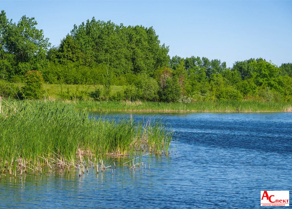 Продажа дома, Кондрашкино, Каширский район, ул. Красноармейская - Фото 35