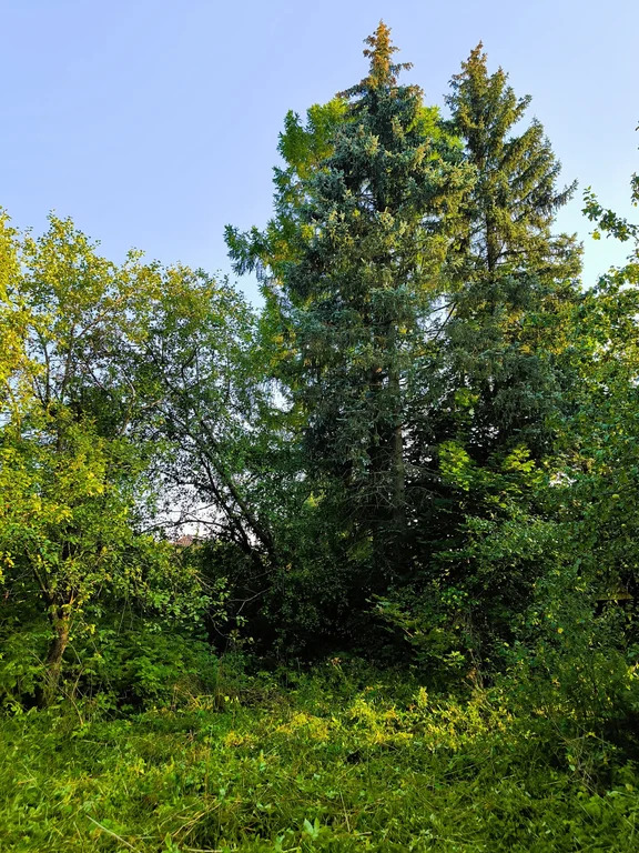 Продажа участка, Загорянский, Щелковский район, ул. Наречная - Фото 5