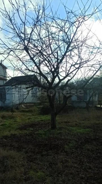 Продажа участка, Севастополь, территория СТ Металлист - Фото 4