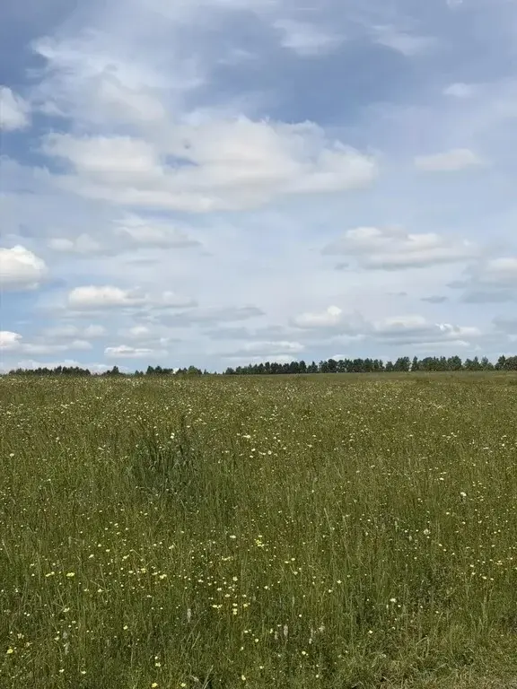 Купить участок 10.0 сот. Татарстан респ., Зеленодольский район, ... - Фото 7