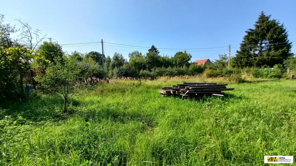 Продажа участка, Истринский район, садовое товарищество Трансмаш - Фото 3
