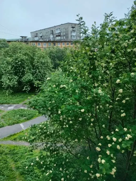продать квартиру - Фото 2