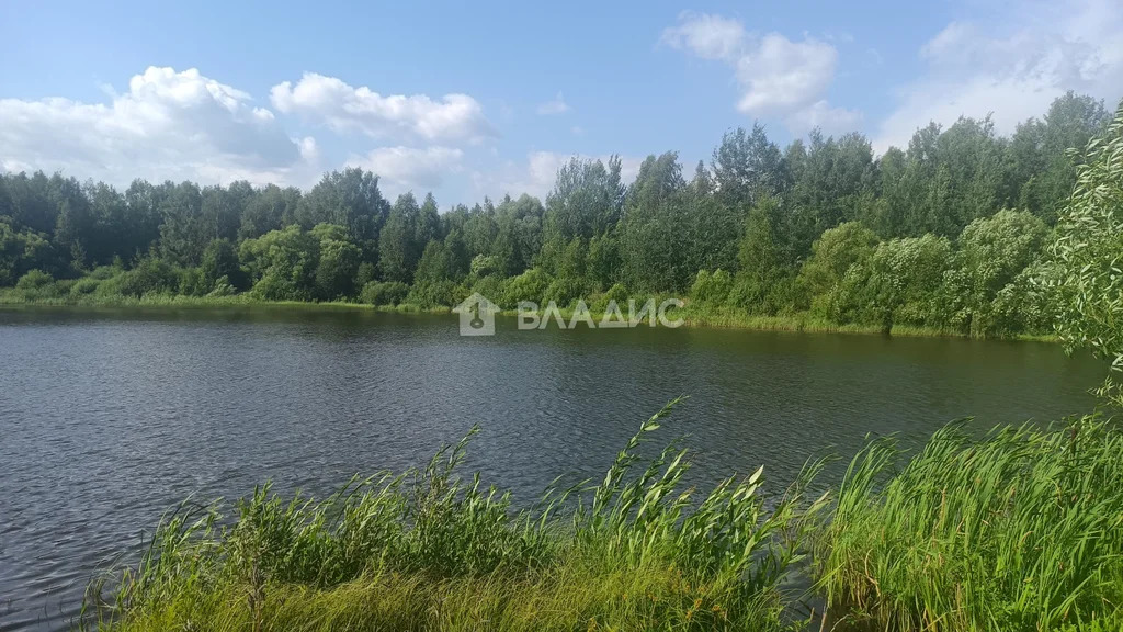 Судогодский район, село Картмазово,  земля на продажу - Фото 35