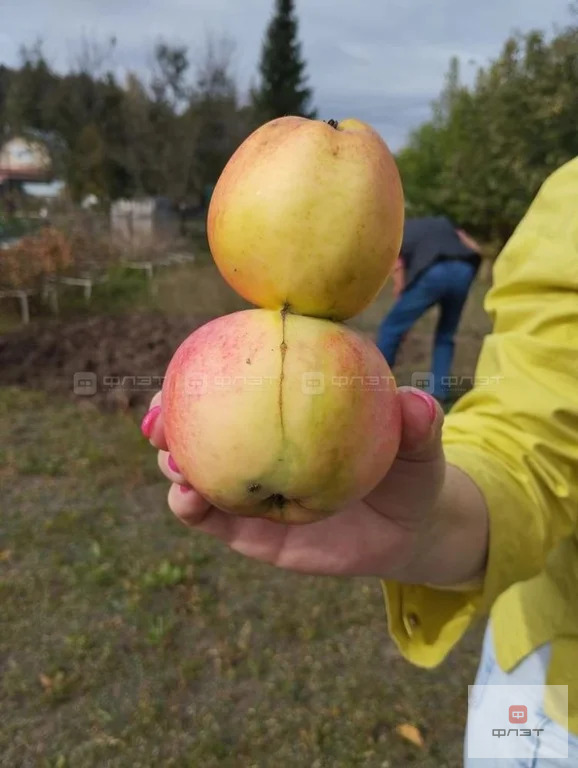 Продажа дома, Высокогорский район, Участок - Фото 5