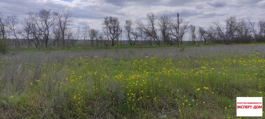 Продажа участка, Новоприморский, Неклиновский район, Мартовская ул. - Фото 1