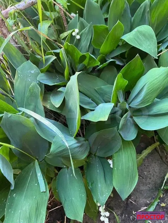 Дом 69,1 м на участке 8,4 сот. - Фото 17